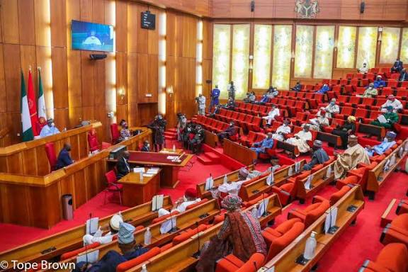 Senate Calls for Improved Salaries and Welfare for Nigerian Soldiers